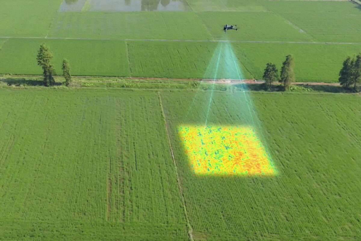 Drone multiespectral a mapear uma parcela